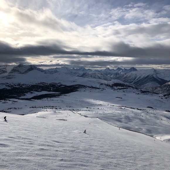 Meet your Posher, Bonnie - Picture 1 of 1